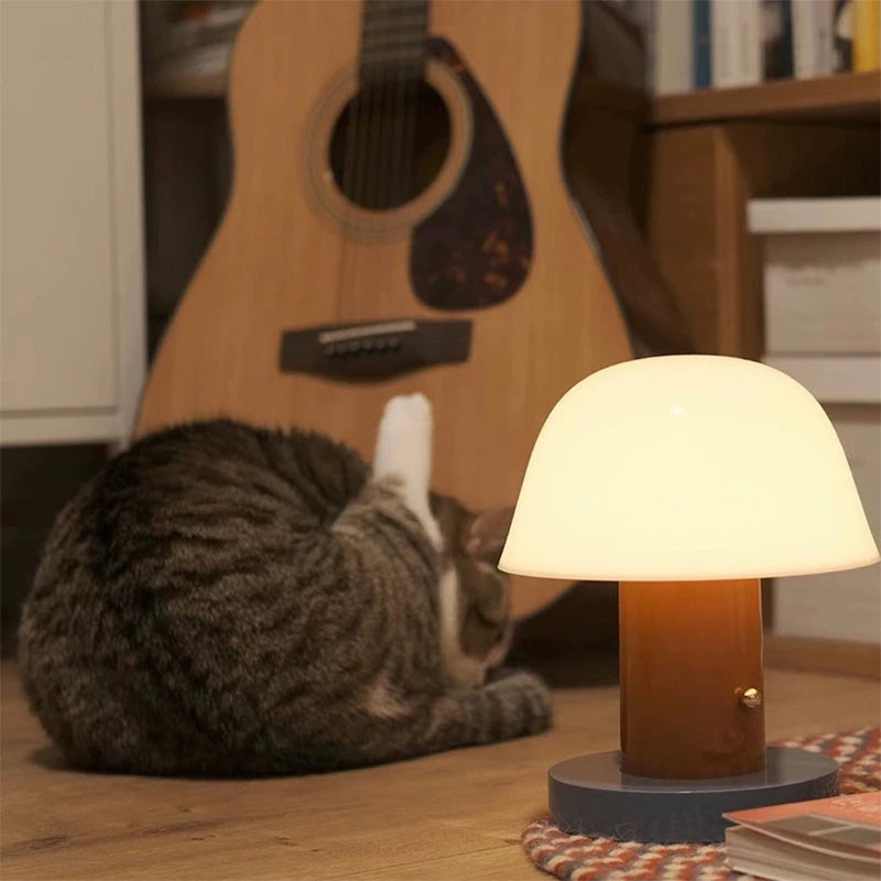 LED table lamp,touch mushroom lamp,rechargeable bedside lamp,dimmable ambient night light,bedroom living room desktop decoration.