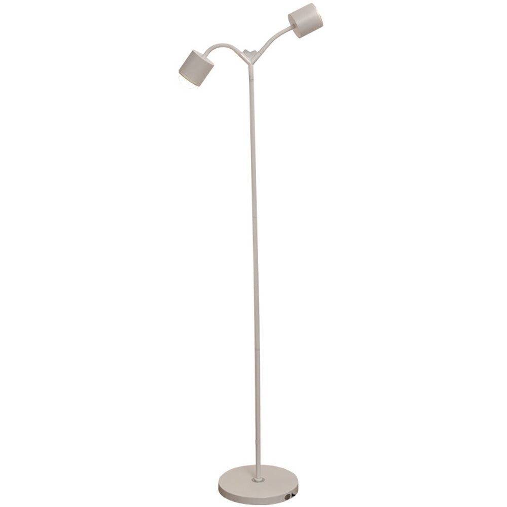 Double Head Heart-shaped Floor Lamp, Live Special Water Ripple Background Ambient Light