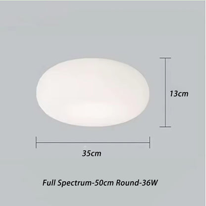 LED Eye Care Ceiling Light, Bedroom Pumpkin Stripe Lighting
