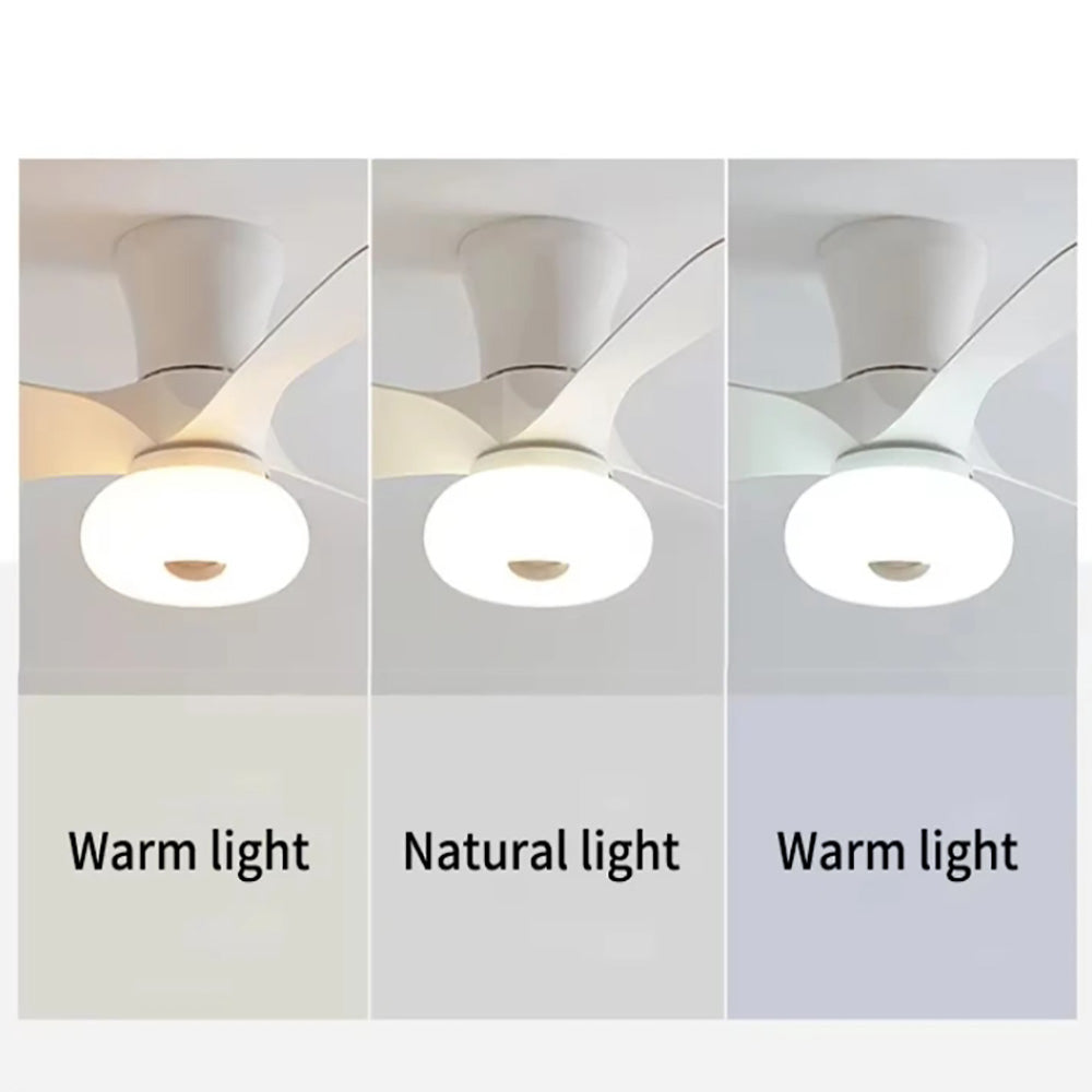 LED Bedroom Fan Light, Living Room Ceiling Fan Light