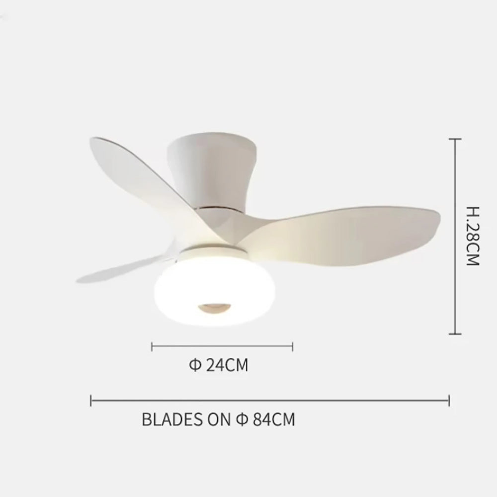 LED Bedroom Fan Light, Living Room Ceiling Fan Light