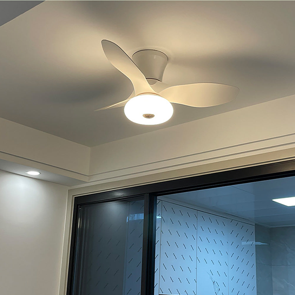 LED Bedroom Fan Light, Living Room Ceiling Fan Light
