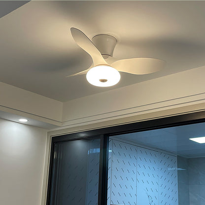 LED Bedroom Fan Light, Living Room Ceiling Fan Light