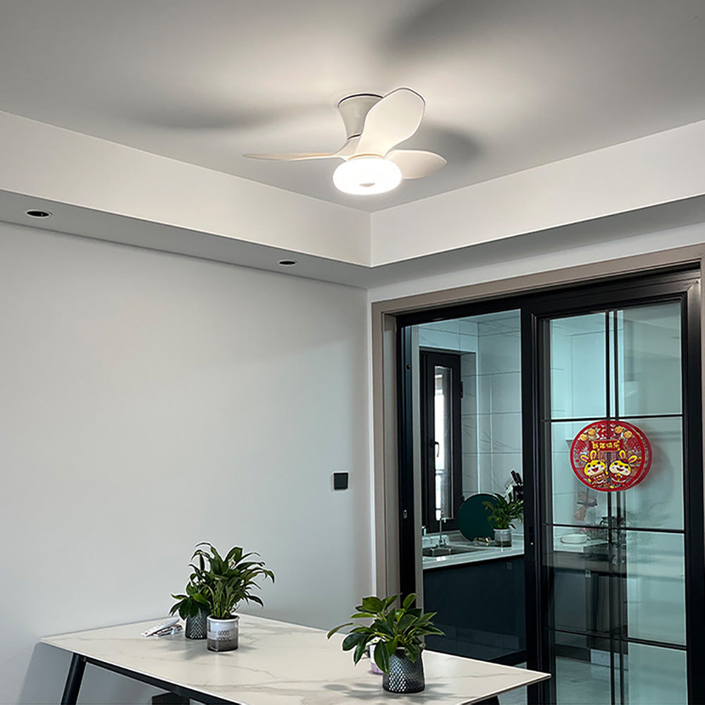 LED Bedroom Fan Light, Living Room Ceiling Fan Light