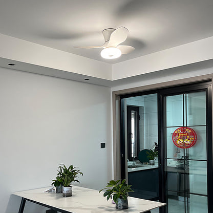 LED Bedroom Fan Light, Living Room Ceiling Fan Light