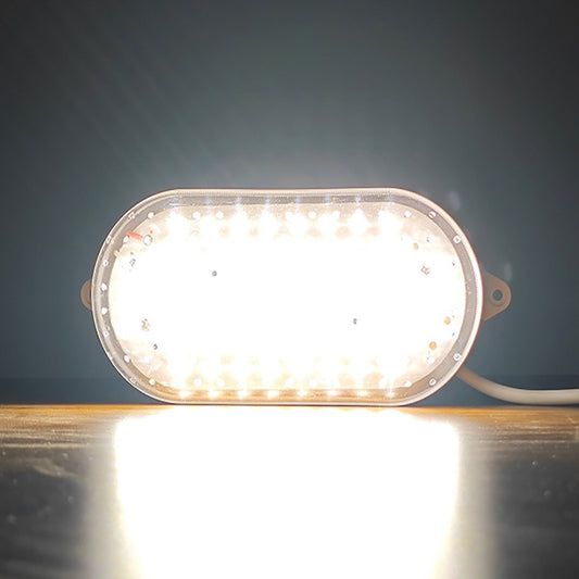 IP68 waterproof cold storage light, warehouse waterproof moisture-proof explosion-proof three-proof light