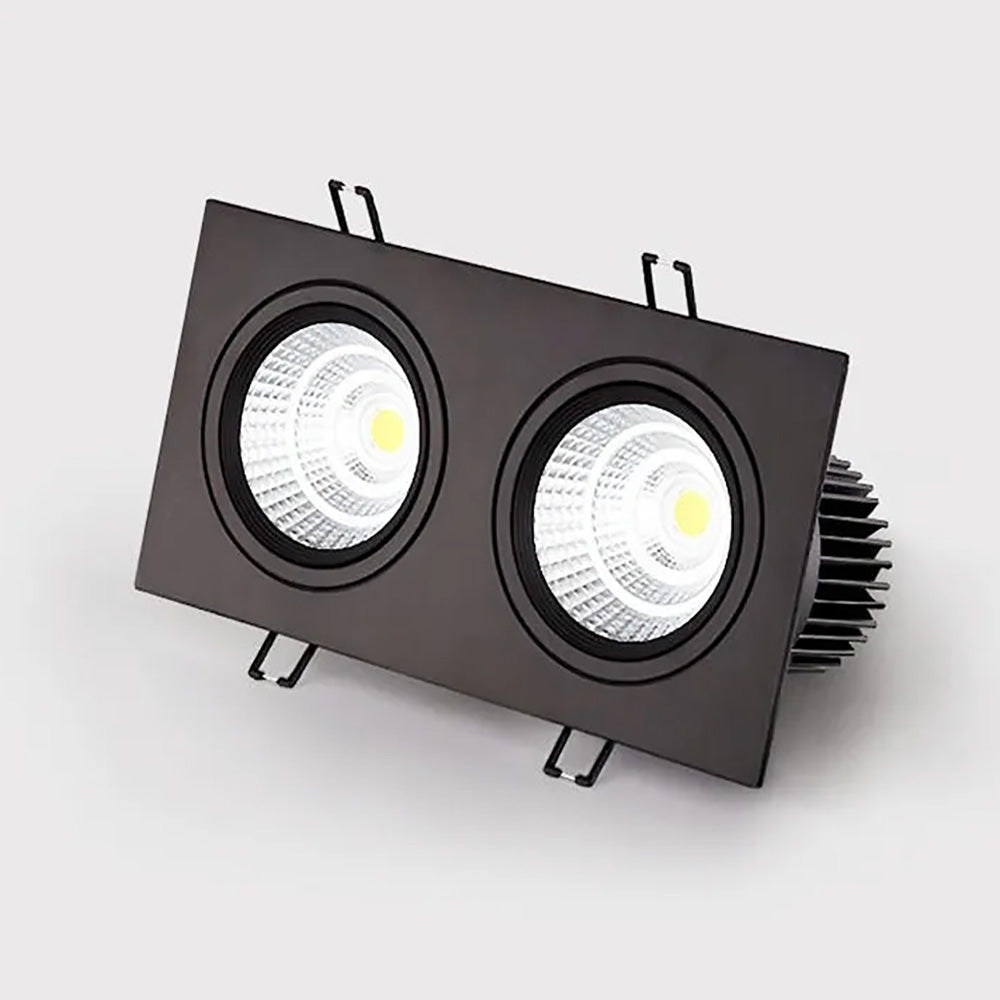 Double head recessed ceiling light, living room bedroom downlight, hotel corridor ambient spotlight