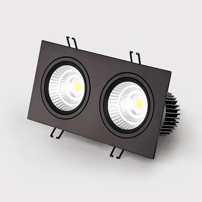 Double head recessed ceiling light, living room bedroom downlight, hotel corridor ambient spotlight