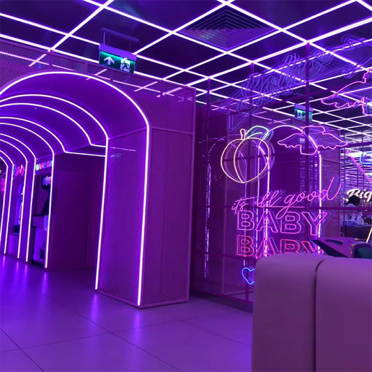 LED strip light, IP67 outdoor waterproof self adhesive color changing ambient neon silicone advertising light